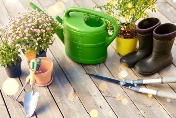 gardening, farming and planting concept - garden tools, flower seedlings and rubber boots on wooden terrace in summer. garden tools, flower seedlings and rubber boots