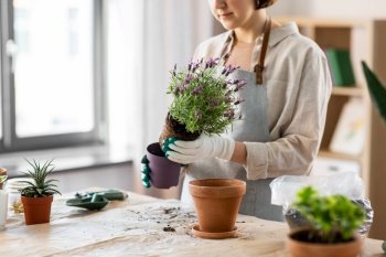 people, gardening and housework concept - close up of woman in gloves planting pot flowers at home. close up of woman planting pot flowers at home