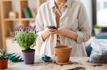 people, gardening and planting concept - close up of woman with smartphone and pot flower at home. close up of woman with smartphone planting flowers