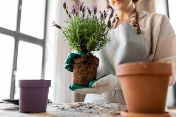 people, gardening and housework concept - close up of woman in gloves planting pot flowers at home. close up of woman planting pot flowers at home