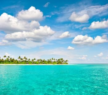 Tropical island beach with palm trees and cloudy blue sky. Nature landscape
