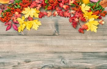 Red yellow leaves and berries on rustic wooden background. Autumn composition. Vintage style toned picture