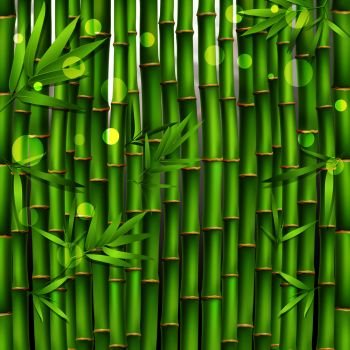 Oriental seamless green pattern composed from young tropical bamboo shoots and leaves realistic vector illustration. Bamboo Oriental Seamless Pattern