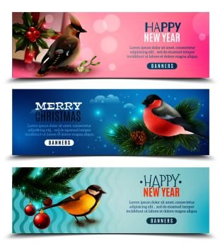 Set of horizontal banners with winter birds, spruce branches, holly, greetings on color backgrounds isolated vector illustration . Winter Birds Horizontal Banners