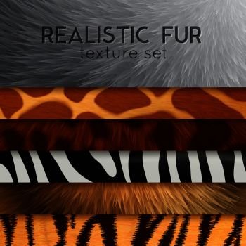 Collection of fur texture six horizontal elements with abstract various colored patterns in realistic style as background for design vector illustration. Fur Texture Horizontal Elements