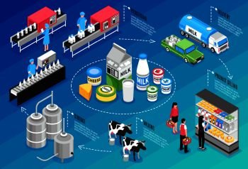 Production delivering and selling milk and cheese products isometric infographics on blue background 3d vector illustration. Milk Production Infographics