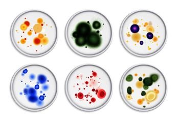 Mold fungus bacteria colony spots realistic set with round images of different moldiness lifeforms in colour vector illustration