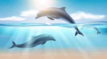 Nautical realistic background with jumping dolphin in sea water illuminated by sunlight vector illustration. Jumping Dolphin Realistic Background