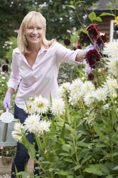 Portrait Of Mature Woman Watering Dahlia Flowers In Garden At Home