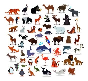 Animal full length portraits collection on white. Vector poster of domestic and wild animals from various countries, lion family, green alligator, colourful parrot on branch, whale splashing water. Animal Full Length Portraits Collection on White