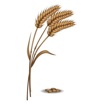 Harvest of three rye ears near pile of grains vector flat illustration. Closeup cereals type for preparing flour and various dishes. Harvest of Rye Ears near Pile of Grains Vector Poster