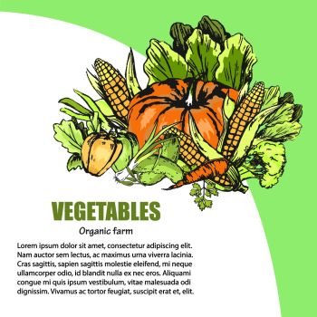 Fresh vegetables assortment with text information nearby. Vector colorful poster in graphic design of organic and healthy farm products. Fresh Vegetable Assortment with Text Information
