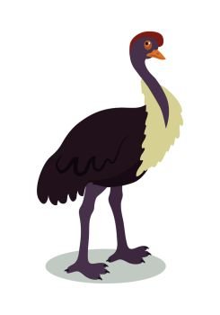 Ostrich cartoon character. Cute ostrich flat vector isolated on white background. African or australian fauna. Ostrich icon. Animal illustration for zoo ad, nature concept, children book illustrating