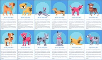 Merry Christmas festive posters with cartoon dogs of pure breeds with unusual fur color and pattern vector illustrations set with sample text.. Merry Christmas Festive Posters with Cartoon Dogs