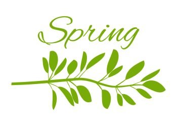 Spring with wild grass on poster with huge sign in italic. Thin stem with oval leaves in horizontal position. Fresh early spring vector illustration.. Spring with Wild Grass on Poster with Huge Sign