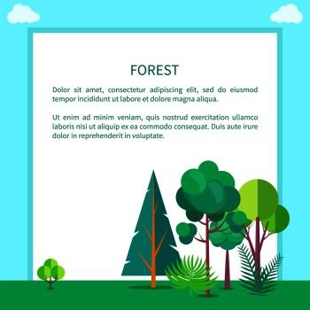 Forest banner with pines, green trees and bushes, unspoiled nature concept. Vector illustration of woodland with place for text, untouched countryside. Forest Vector Web Banner with Trees and Bushes