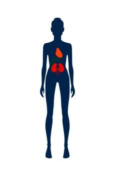 Female body and kidney with heart of different colors, poster with human infographic and organs, vector illustration isolated on white background. Female Body and Kidney Heart Vector Illustration