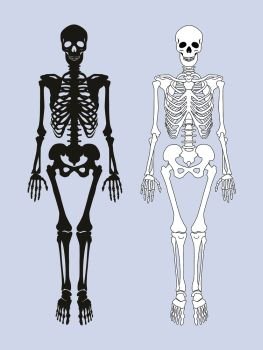 Skeleton of human body black white colors, internal framework supporting organism system with skull, pelvis ribs legs and arms set vector illustration. Skeleton of Human Body Set Vector Illustration