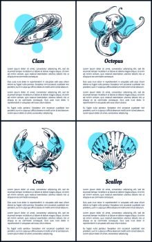 Clam and octopus, crab and scallop vector icons. Decorative images of ocean animals isolated on white with blue spots restaurant menu vintage template. Clam and Octopus, Crab and Scallop Vector Icons