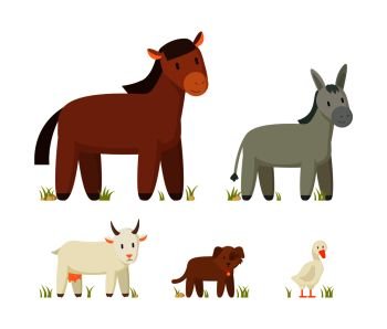 Donkey and horse, goat with horns and goose icons set. Dog domestic pet with collar. Animals of rustic area farm, isolated on vector illustration. Donkey and Horse Icons Set Vector Illustration