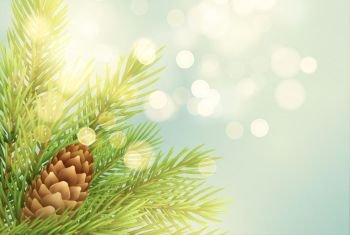 Realistic fir-tree branch with pinecone illustration. Spruce twig with bump on light background. Christmas decoration with glowing round sparks. Postcard, banner design. Isolated vector. Realistic fir-tree branch with pinecone illustration