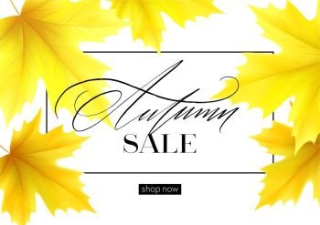 Autumn poster with lettering and yellow autumn maple leaves. Vector illustration EPS10. Autumn poster with lettering and yellow autumn maple leaves. Vector illustration