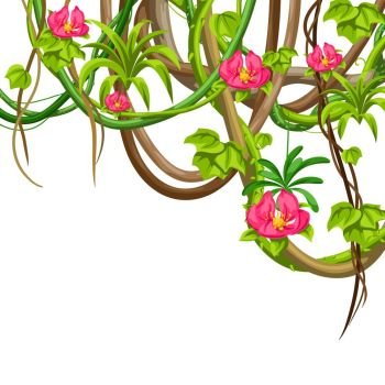 Twisted wild lianas branches background. Jungle vines plants. Woody natural tropical rainforest.. Twisted wild lianas branches background. Jungle vines plants.