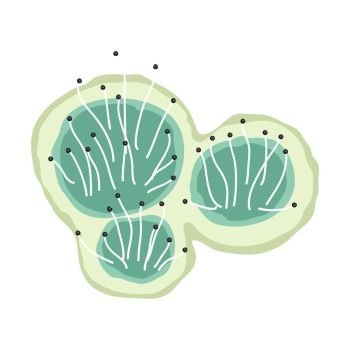 Green mold icon. Illustration solated on white background.. Green mold icon.