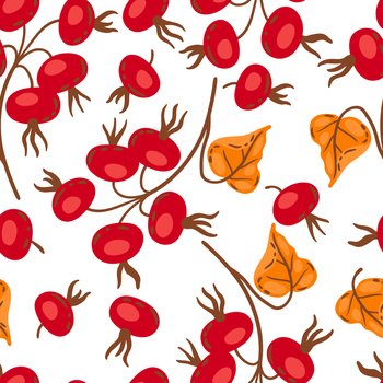 Seamless pattern of branches with rose hips. Image of seasonal autumn plant.. Seamless pattern of branches with rose hips. Image of autumn plant.