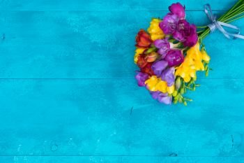 Fresh freesia flowers on blue wooden background with copy space. Fresh freesia flowers