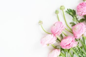 Fresh ranunculus flowers on white background. Flat lay, top view scene.. Ranunculus flat lay composition
