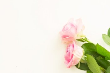 Styled desktop scene with pink fresh flowers, copy space on white table. Styled desktop scene