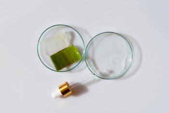 Glass petri dish with transparent pure serum for skin care with aloe vera on white background, top view. Concept laboratory tests and research, making and testing green ecological cosmetic. Glass petri dish with transparent pure serum for skin care