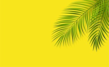 Vector green leaf of palm tree with overlay shadow on minimal yellow background. Green leaf of palm tree on yellow background