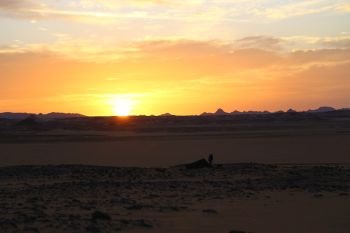 the light of the sunrise in the middle of the desert like adventure and wild concept
