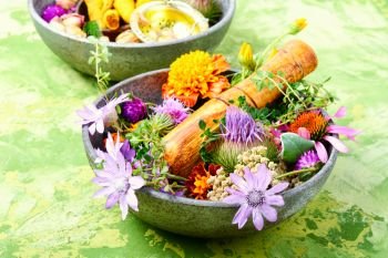Various raw medical herbs and flowers.Alternative medicine concept.Assorted natural medical herbs. Herbs medicine flowers