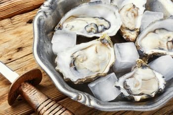 Fresh oysters in plate of ice.Seafood on dark wooden background. Opened fresh oysters,seafood