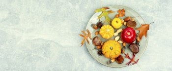 Squash with autumn fruit, apples, and set nuts. Copy space. Autumn food, autumn still life, space for text