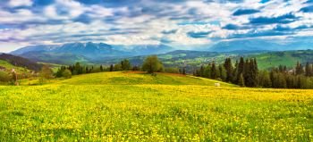 Poland spring Tatra mountains panorama. Green dandelion spring meadow on hills. Vacation, travel in Europe.