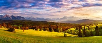 Poland spring Tatra mountains panorama. Beautiful valley and cloudy sky. Green spring sunset meadows on hills. Vacation, travel in Europe