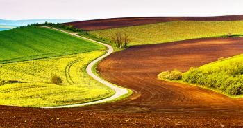 Spring rural landscape. Agriculture green and yellow fields and meadows. Canola and wheat plants. Road on Moravia hills in April. Czech republic, Europe