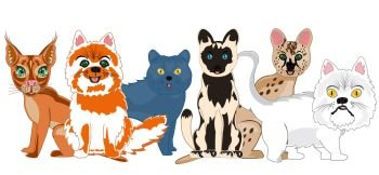 Much sorts pets pet cats on white background is insulated. Vector illustration of the cartoon pets sorts cat