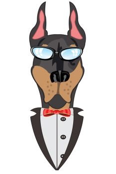 Portrait of the dog doberman in tuxedo on white background. Vector illustration of the mug of the dog in suit