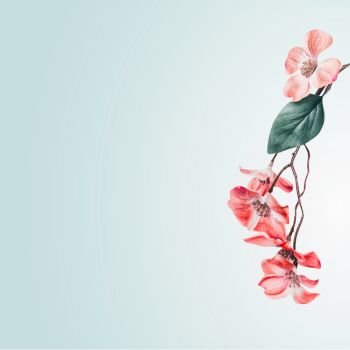 Lovely floral background border with coral flowers blossom hanging branch on light turquoise. Floral layout composing with copy space