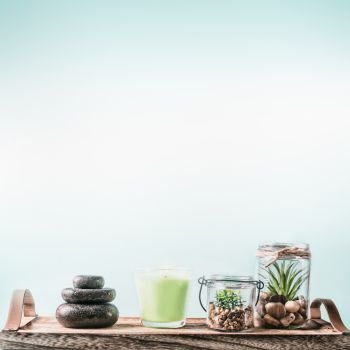 SPA setting background with green candles, massage hot stones and succulent plants on tray at pastel blue background . Healthy lifestyle, wellness and modern beauty concept. Copy space for your design