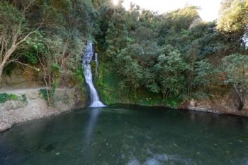 Waterfall in Centennial Gardens, Napier, NZ