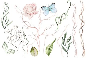 Watercolor set with peony  flower, branches, leaves and butterfly.  Illustration. Watercolor set with peony  flower, branches, leaves and butterfly. 