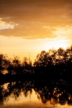 orange sunset on the river with tree silhouettes