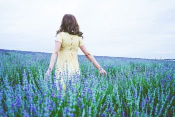  Back view of a young woman in a field of lavender                              