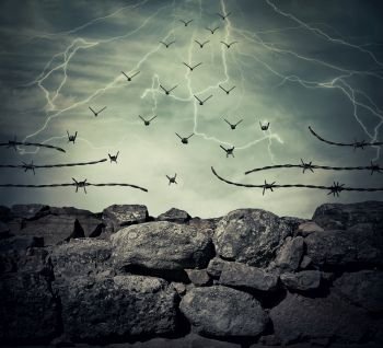 Stone wall fence of a prison with barbed metallic wire on top transform into flying birds over the lightning sky background. Freedom and success concept.